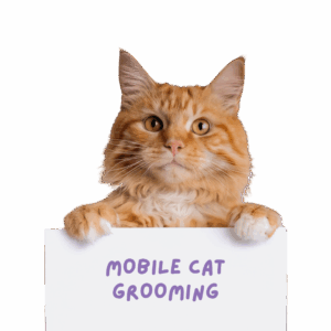 A picture of a ginger cat holding a sign that says mobile cat grooming