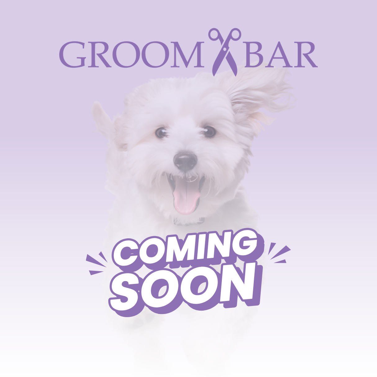 A picture of a white dog, running toward the camera with the groom, bar logo, and the words coming soon